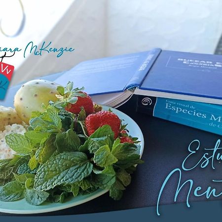 Estudio Menta Tacoronte Eksteriør bilde